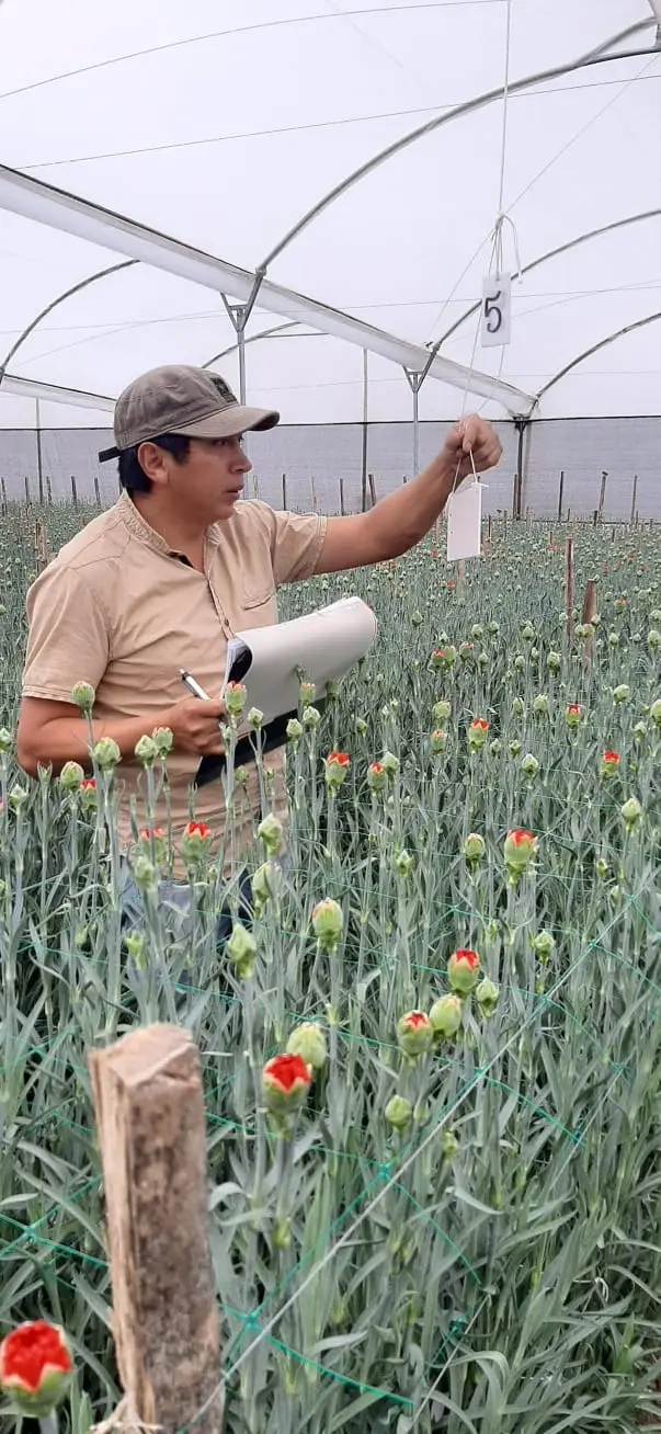 Flores Exportaflor